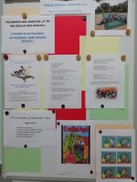 IMG_20201013_063940.jpg