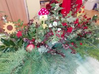 IMG_20201013_132117.jpg