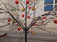 20201127_155513.jpg