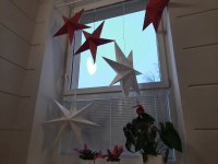 20201127_155649.jpg