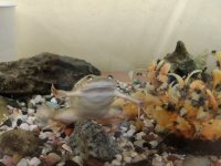 IMG_20201221_082646.jpg