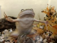 IMG_20201221_082724.jpg
