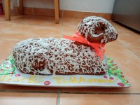 4. 4. 2021 13_50_34.jpeg