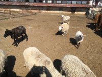 foto 27042019 004.jpg