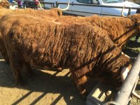 foto 27042019 005.jpg