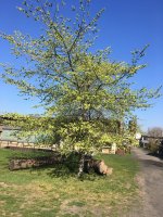 foto 27042019 006.jpg