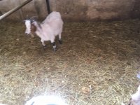 foto 27042019 007.jpg