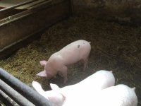 foto 27042019 009.jpg