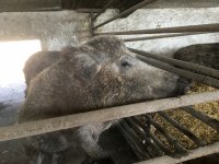 foto 27042019 011.jpg