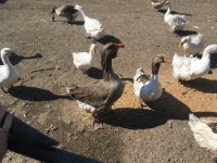 foto 27042019 013.jpg