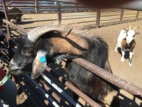 foto 27042019 014.jpg