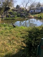 foto 27042019 019.jpg