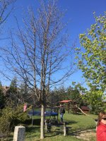 foto 27042019 020.jpg