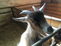 foto 27042019 022.jpg