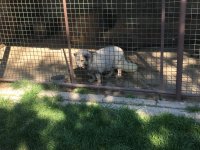 foto 27042019 052.jpg