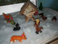 Krmítko a krmelec(8).jpg