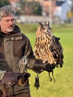 WhatsApp Image 2024-11-27 at 10.19.07.jpeg