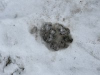 IMG_9484.jpeg