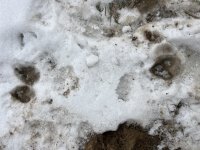 IMG_9486.jpeg