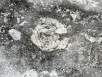 IMG_9488.jpeg