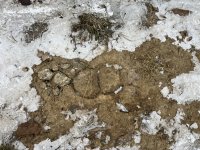 IMG_9489.jpeg