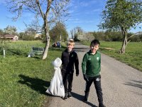 IMG_6016.jpeg