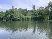IMG_0172.jpeg