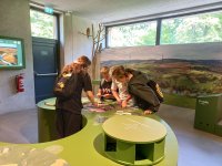 20260616_093744.jpg