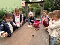 IMG_4420.JPG